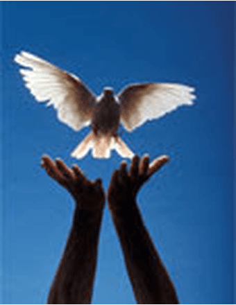 Peni  Ann Kelty Obituary